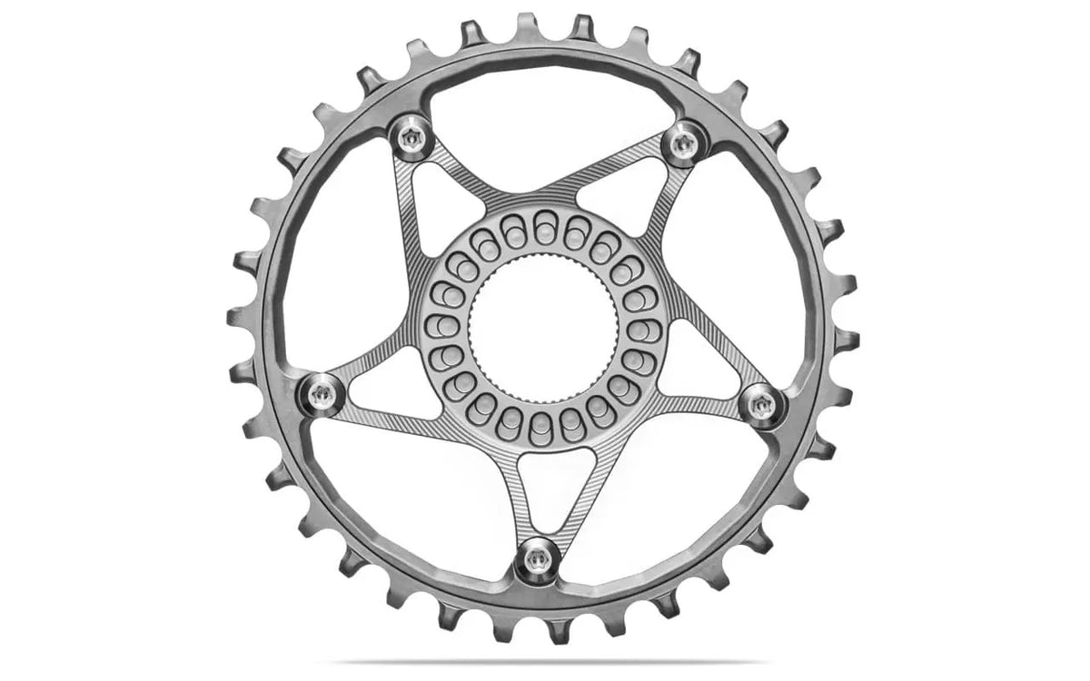 absoluteBLACK E-Bike Steel Chainring - Shimano 12sp HG+