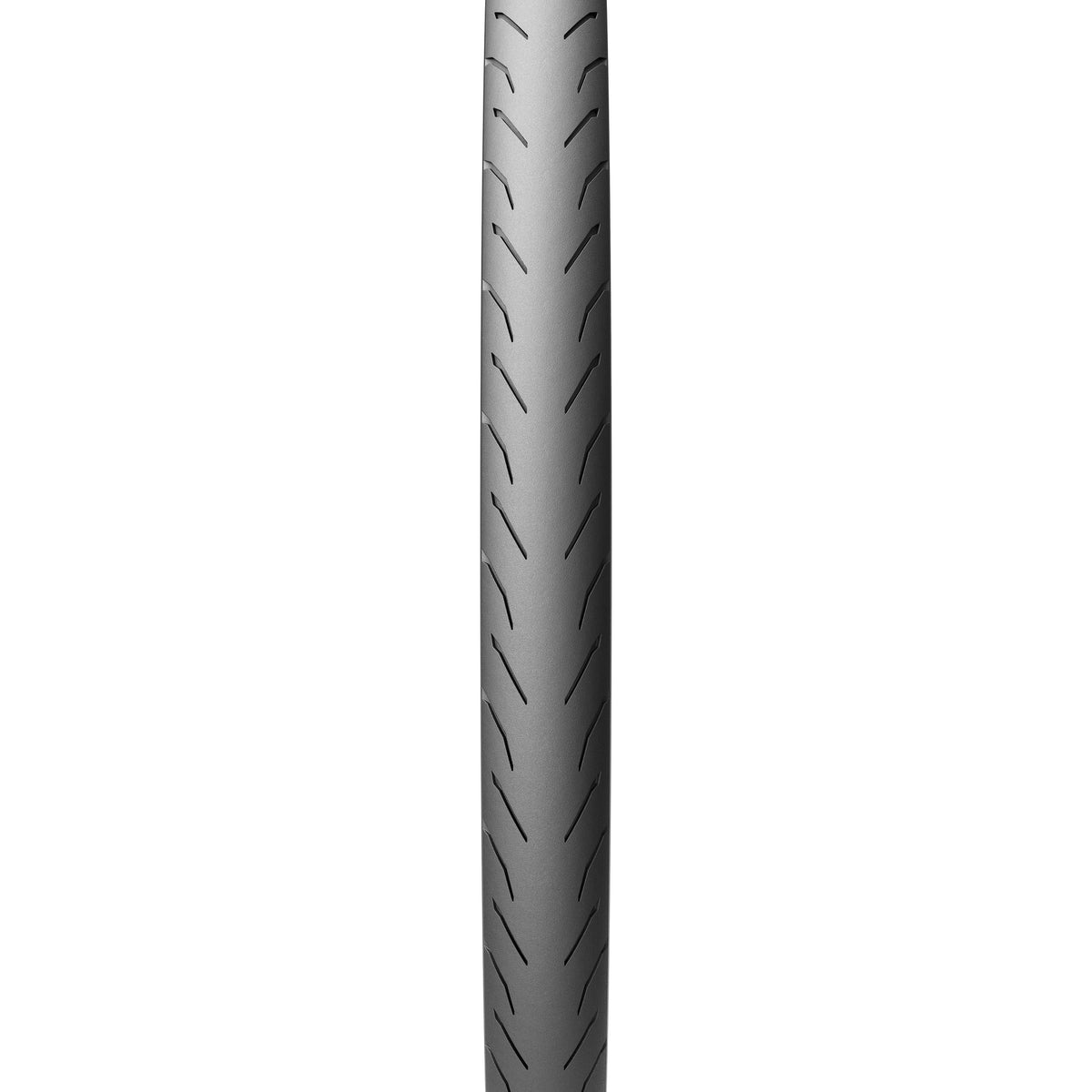Pirelli Angel 349 16 x 1.35