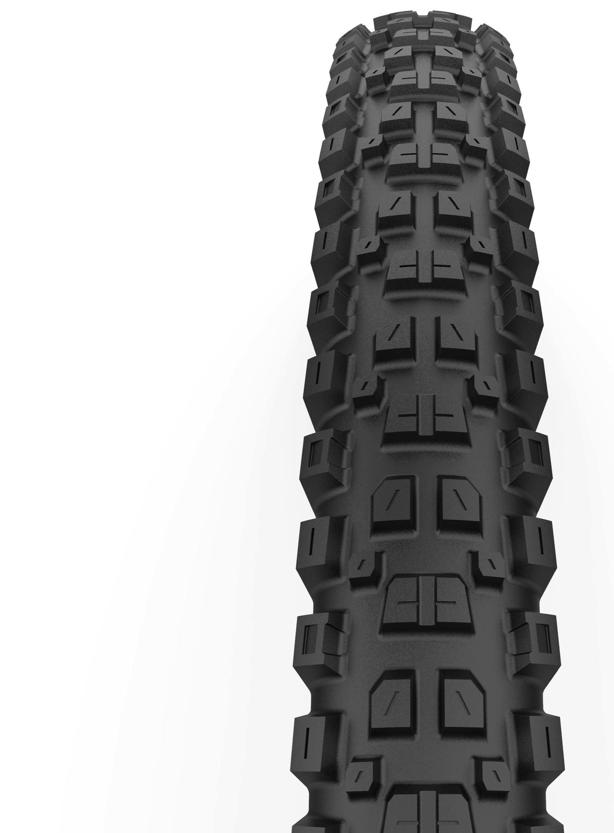 CAST x Pirelli Protagonist DualWALL 29 x 2.4